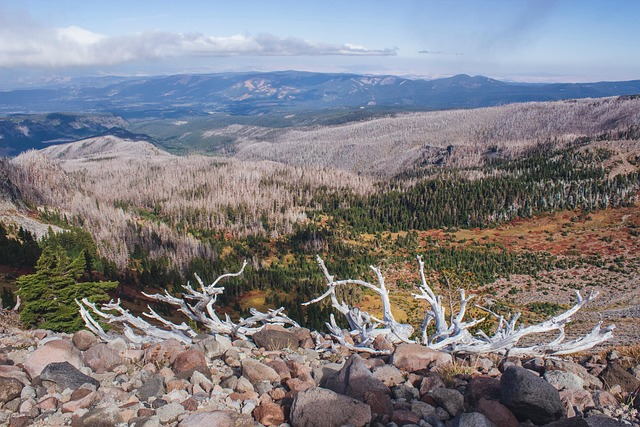 Oregon