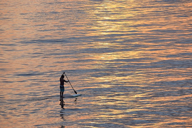 paddleboard