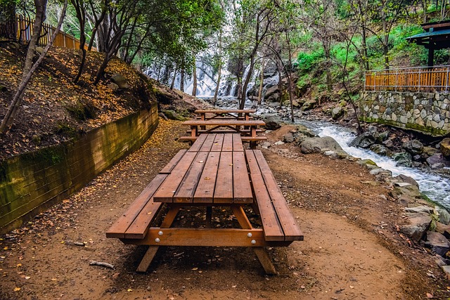 parks-nature-family-trails-picnic-playgr-640x480-42048280.jpeg
