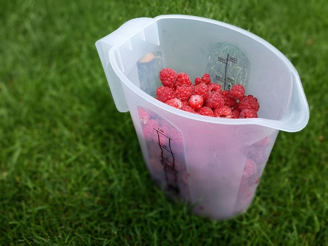 picnic