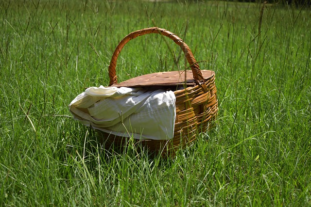 picnic