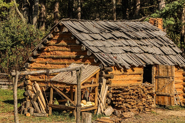 pioneers-homesteads-settlers-cabins-oreg-640x480-9365017.jpeg
