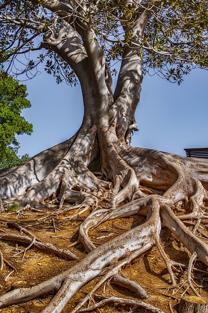 Oregon Probate Planning: Informed Choices for Legacy Maximization
