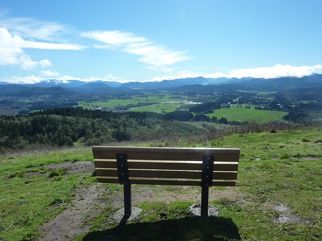 Affordable Pipe Repair in Eugene, Oregon: Local Plumbers You Can Trust