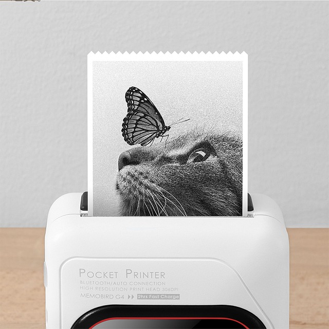 portable