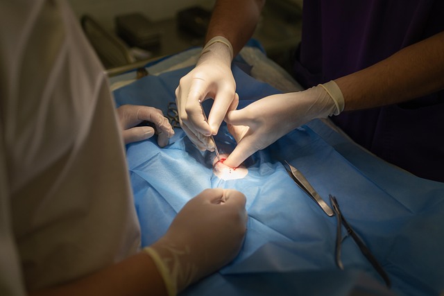 procedure