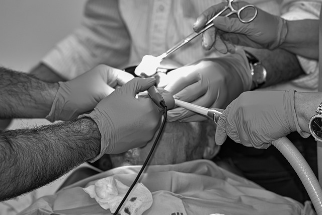 procedure