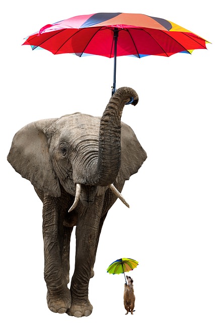 protection-640x480-72494379.jpeg