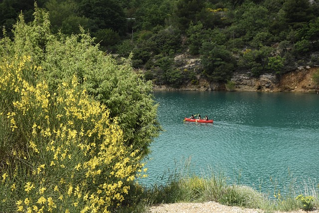 Rafting