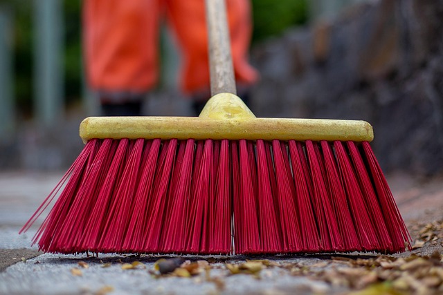 remediation-cleaning-professional-mold-s-640x480-67651166.jpeg