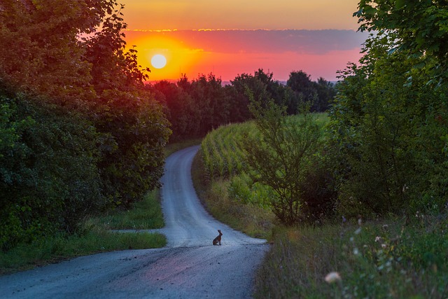 road