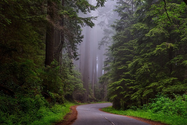 roads