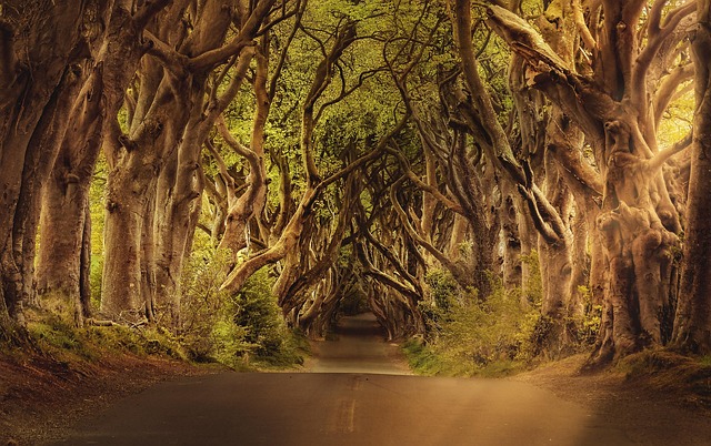 roads