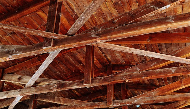 roof