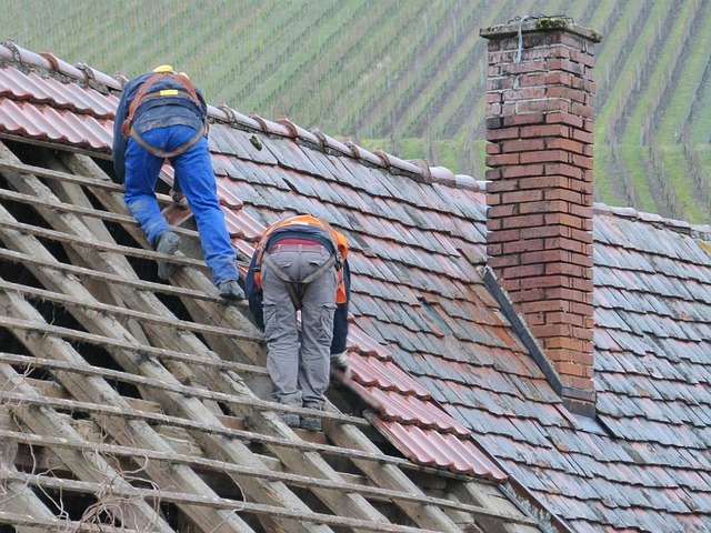 roof