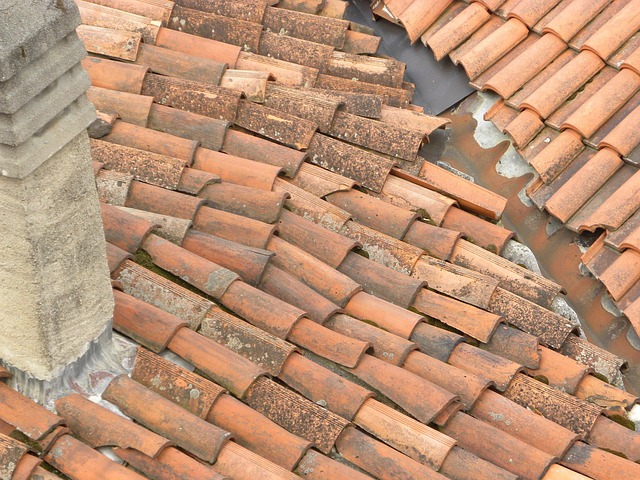roof