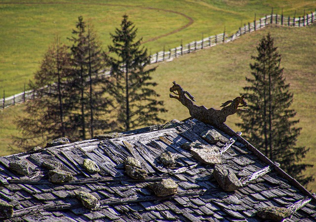 Reliable Roof Inspection Services in Eugene, Oregon: Protect Your Property