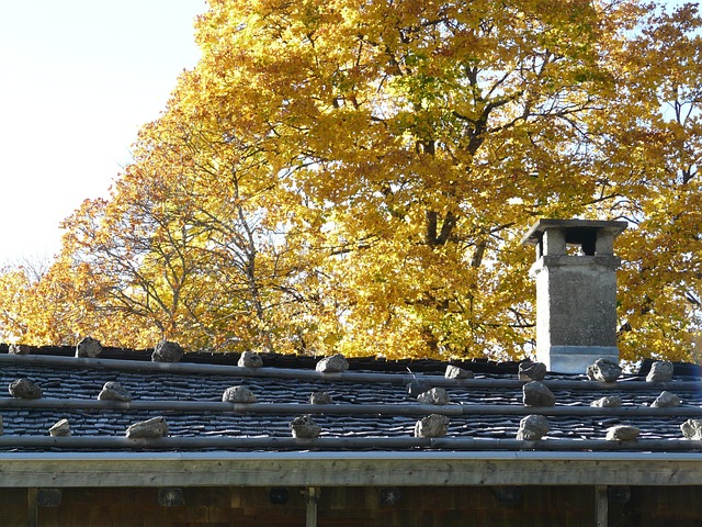 Expert Roof Repairs Eugene Oregon: Quick Fixes for Lasting Protection