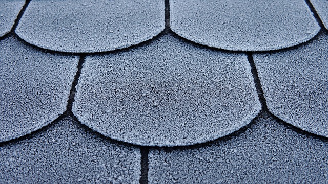 Eugene Oregon: Swift Emergency Roof Damage Repair Solutions