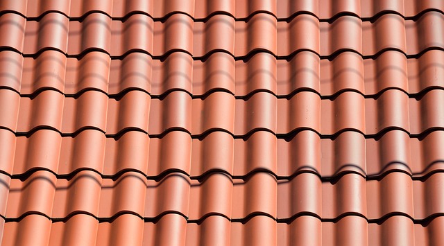 Urgent Roof Repair Eugene Oregon: Navigating Emergency Services & Contractors