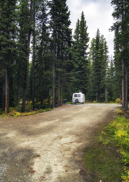 RV