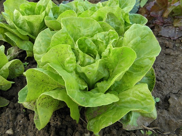 Hands-On Cooking Classes in Eugene: Learn at Your Level