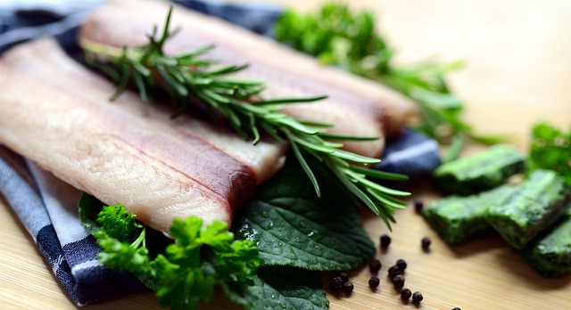 Salmon