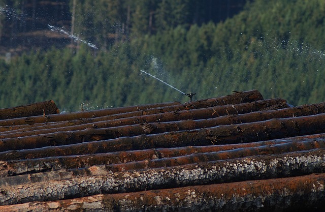 sawmills