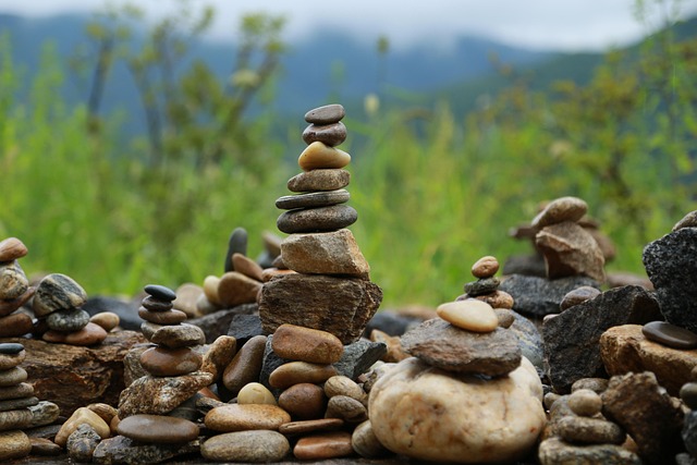 shingle roof