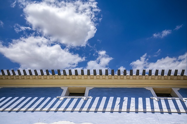 shingle roof