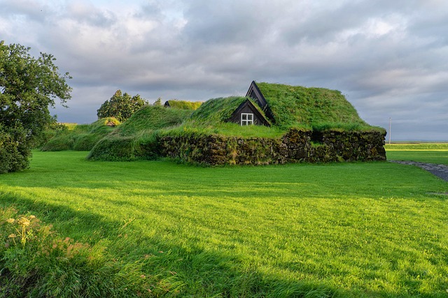 shingle roof