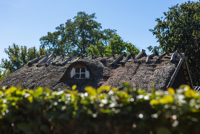 shingle roof