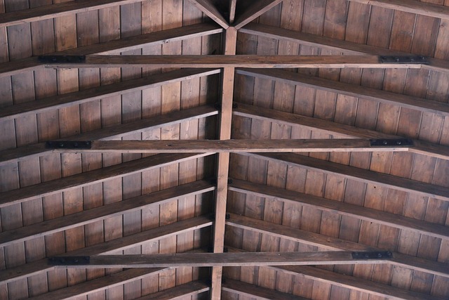 shingle roof