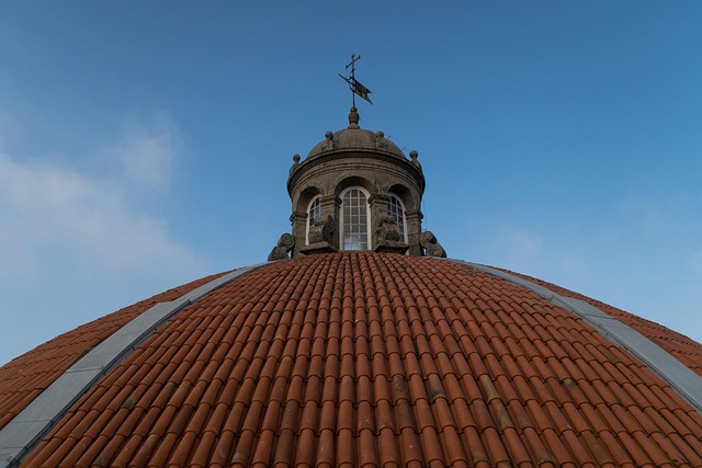 shingle roof