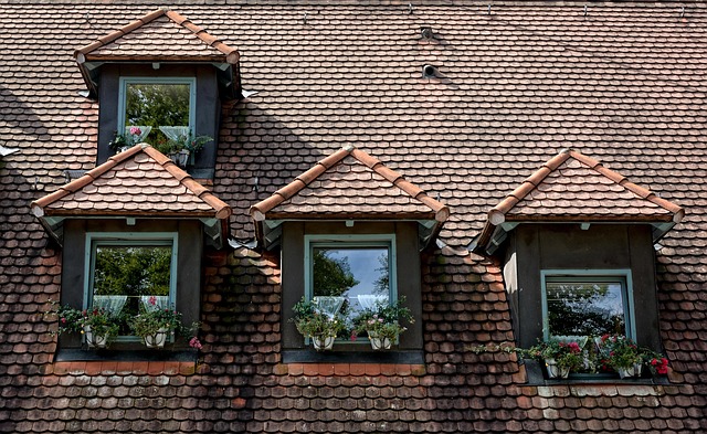 shingle roof