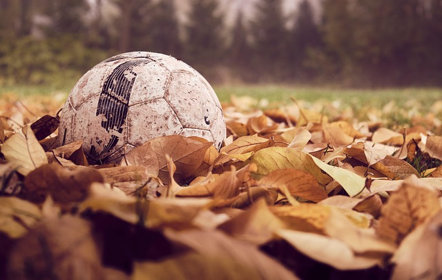 Optimizing College Soccer Teams’ Pre-season Tactics: Fitness, Skills, and Conditioning