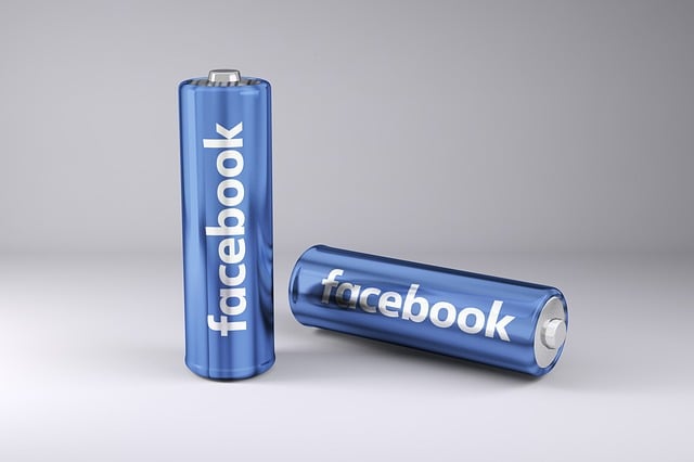 Social Media Background Checks: Shaping Personal Branding in the Digital Era