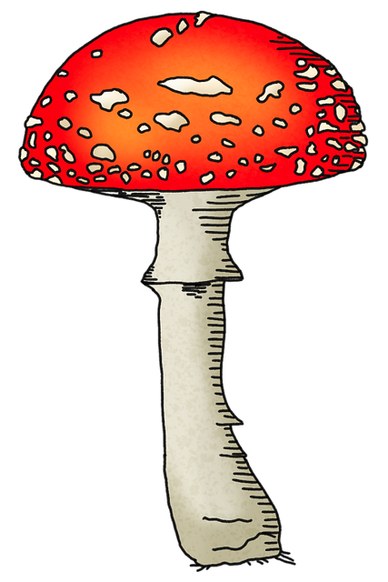 spores