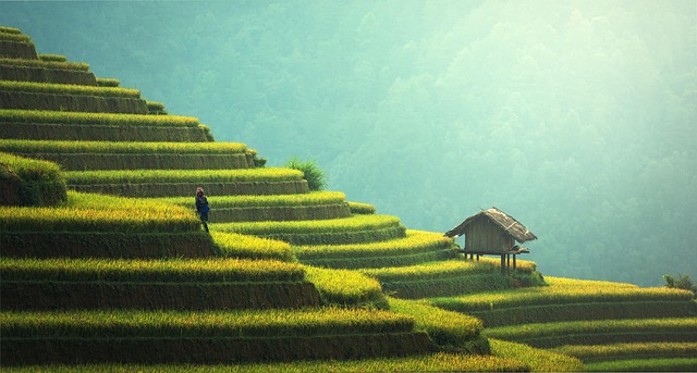 sustainable