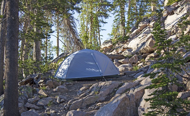 tents