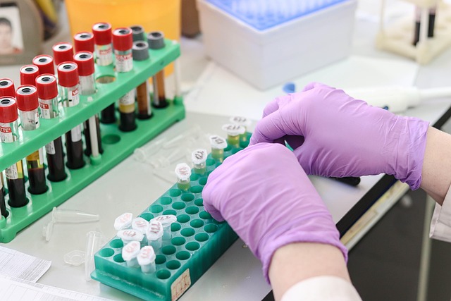 testing-inspection-professional-lab-home-640x480-10679533.jpeg