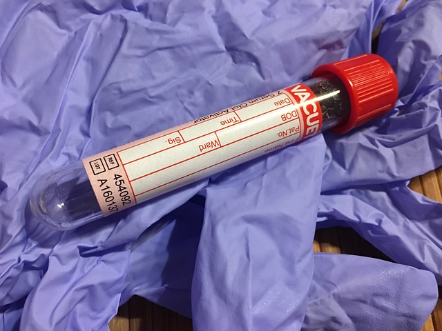 testing-inspection-professional-lab-home-640x480-50463940.jpeg