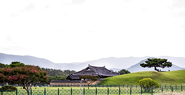 tile roof