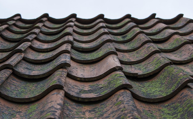 tile roof