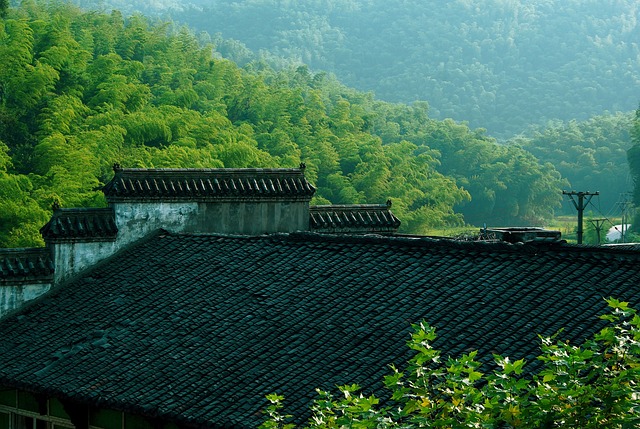 tile roof