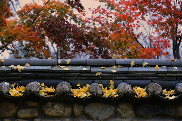 tile roof