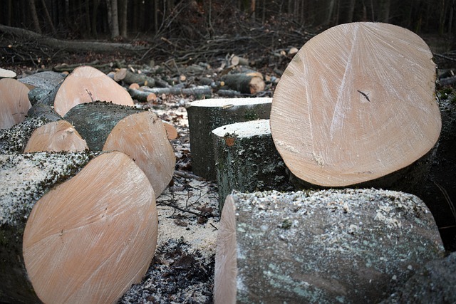 timber