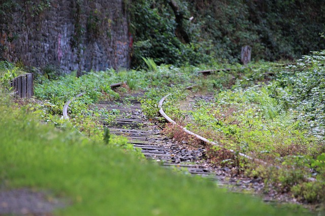 track