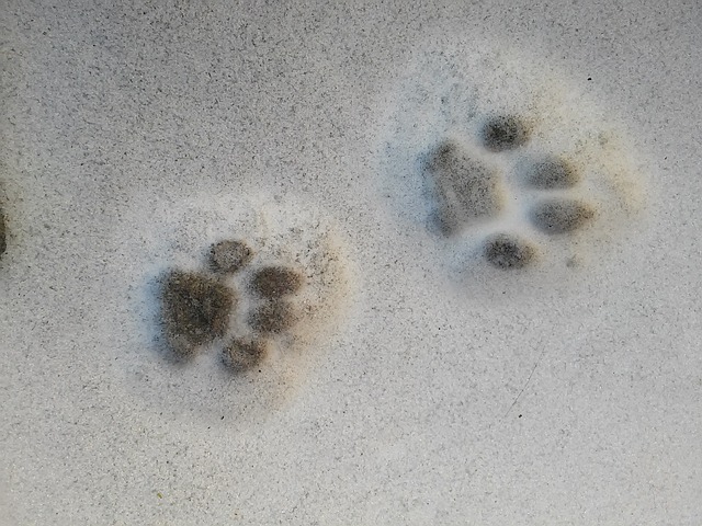 track
