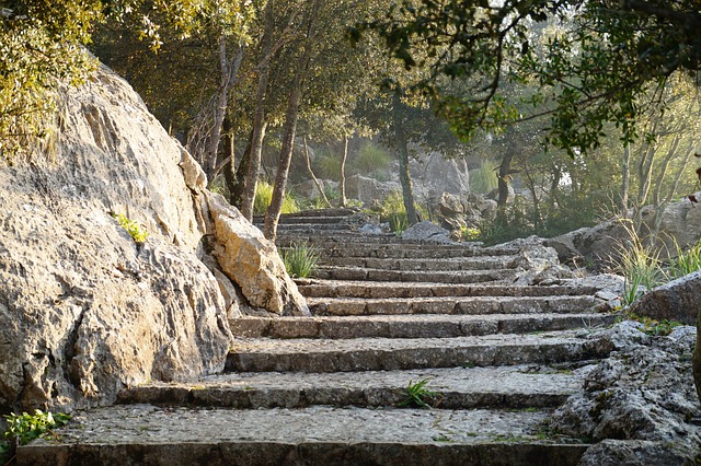 trail